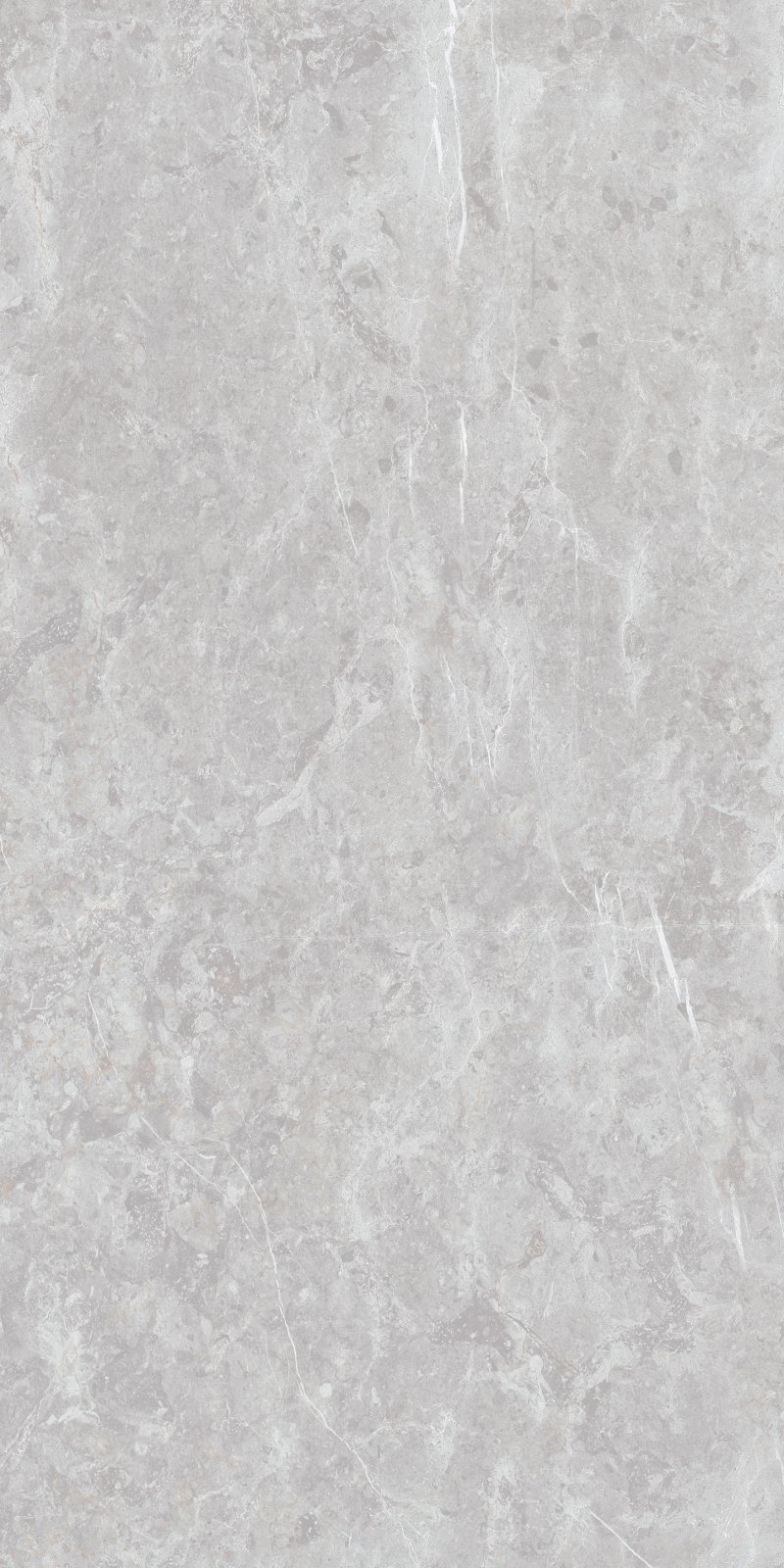 PLATINUM 30X60 THOMSON GREY REC